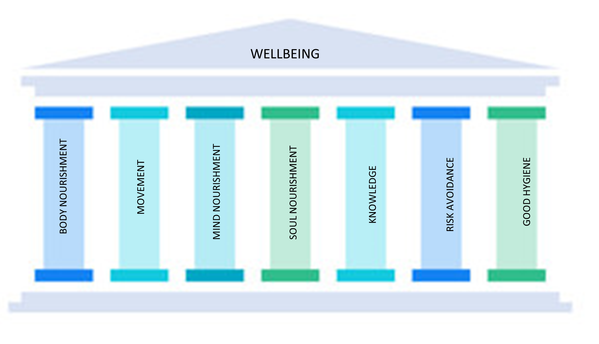 wellbeing pillars